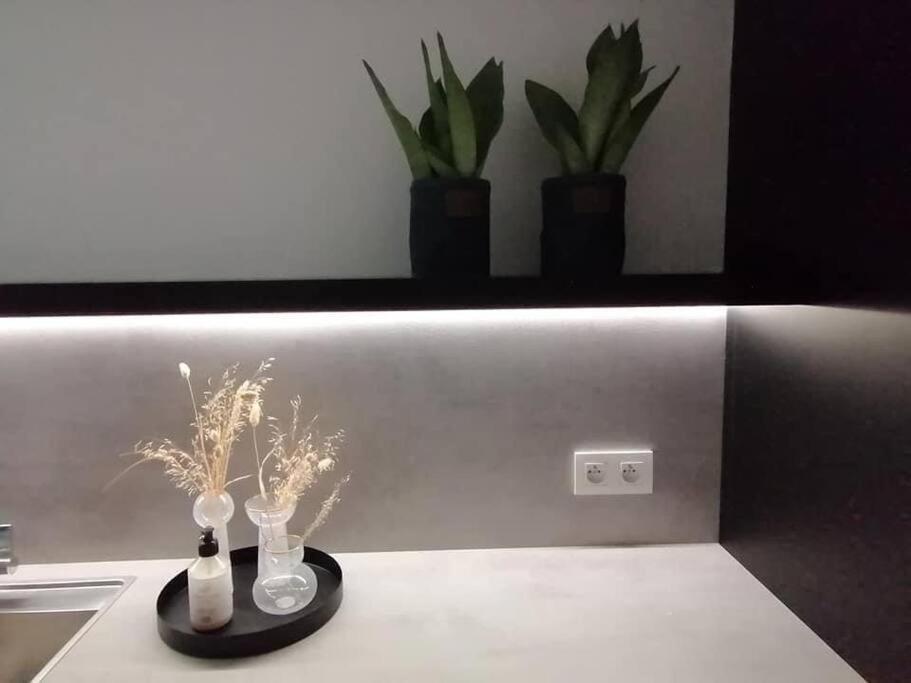 Cozb Apartment Brugge Ngoại thất bức ảnh