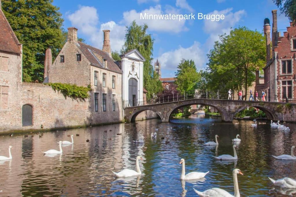 Cozb Apartment Brugge Ngoại thất bức ảnh